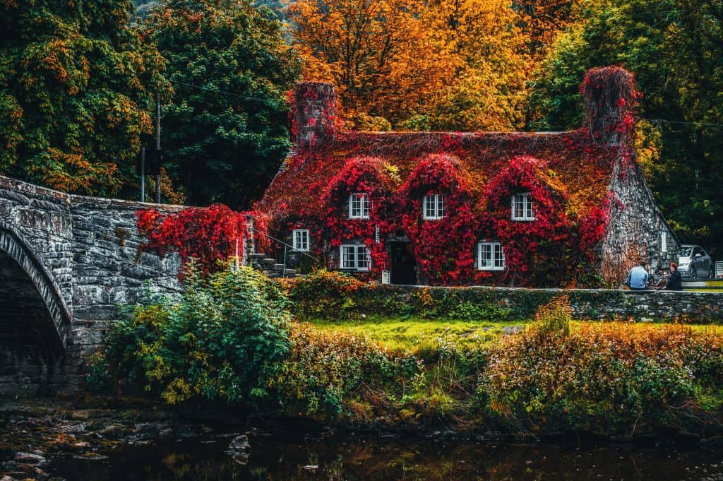 Magical looking cottage