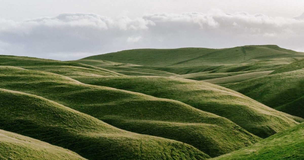 They did prosper in the land