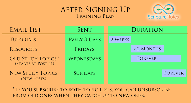 Email Training Plan-What is next Email Training Plan-What is next