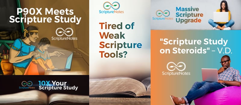 affiliate program affiliate program