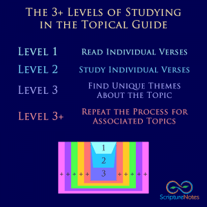 3+ Levels of Scripture Study