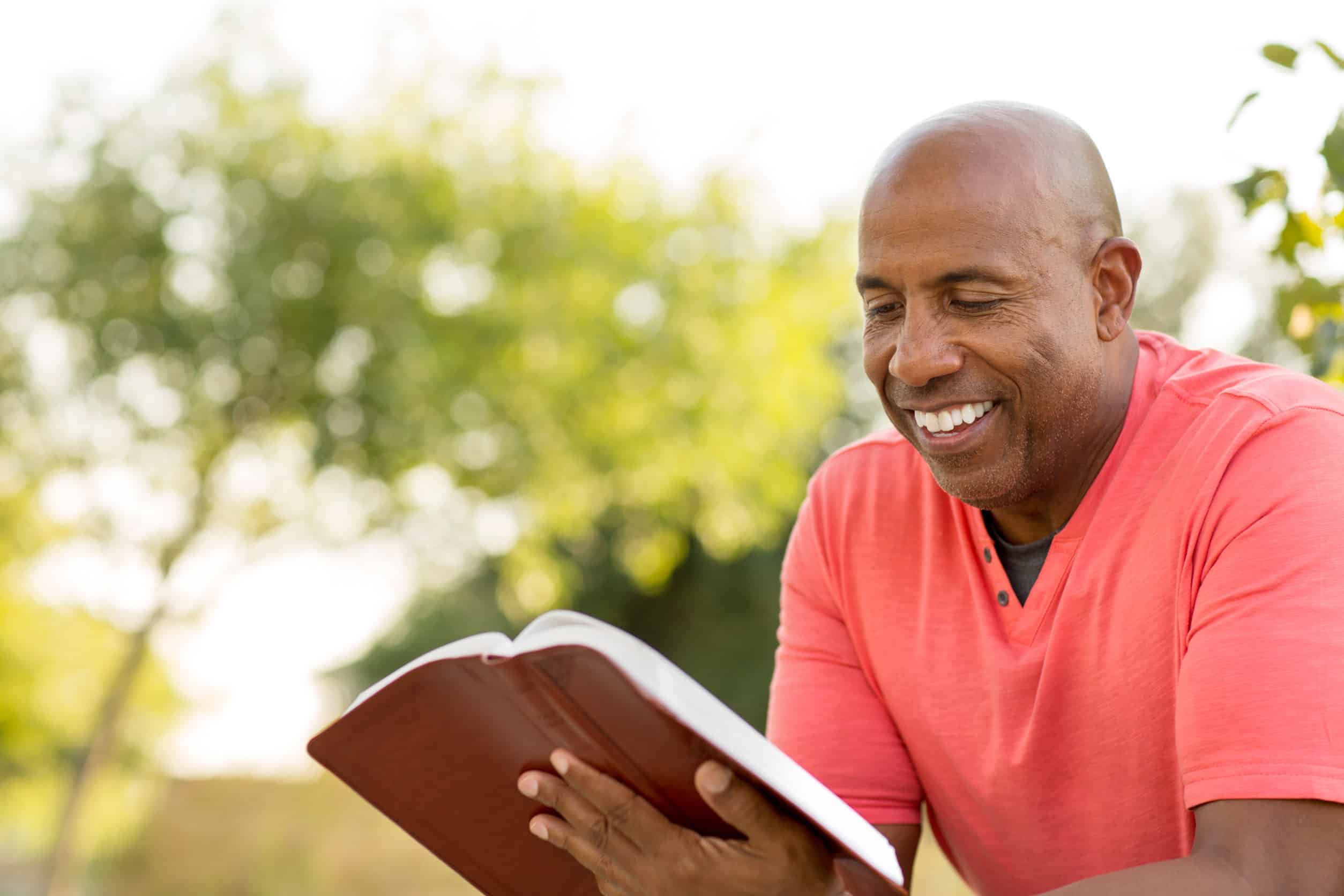 How to study a book of scripture