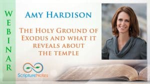 Amy Hardison Exodus Temple Webinar