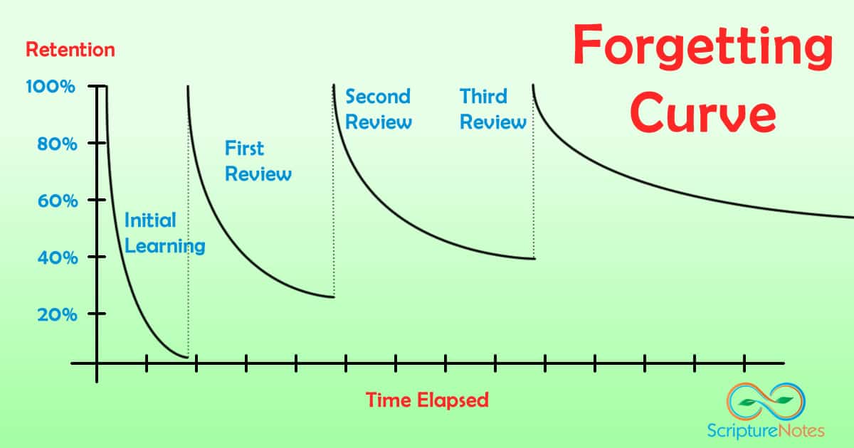 Forgetting Curve