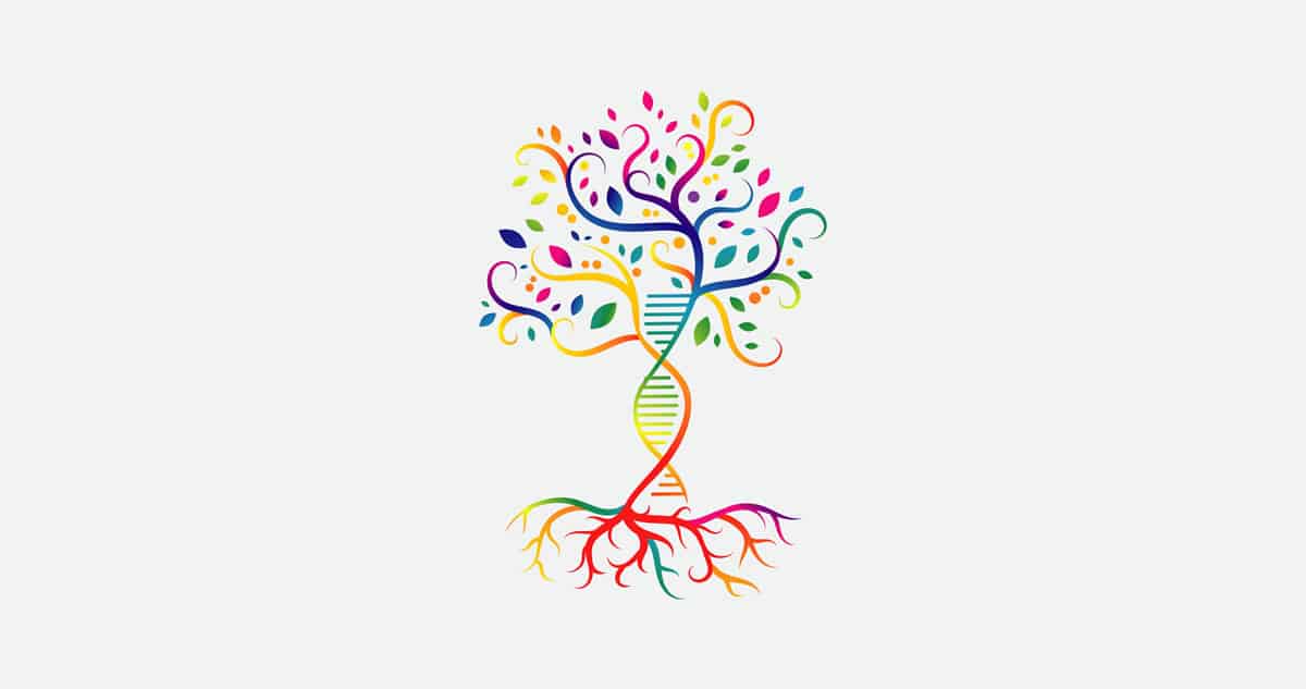 Deeply flawed Genesis