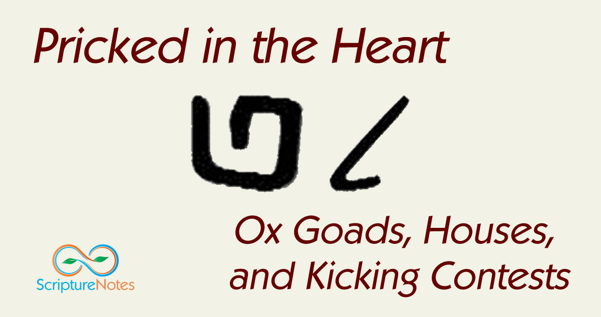 Pricked in the heart